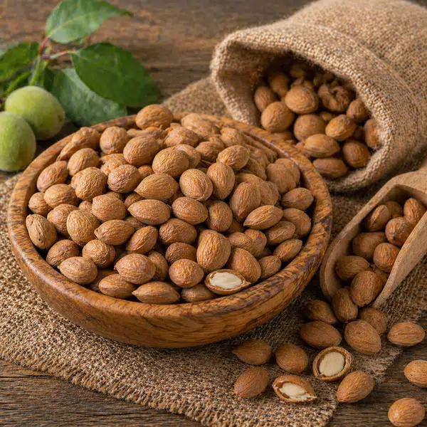 Organic apricot kernels from Malatya, Turkey