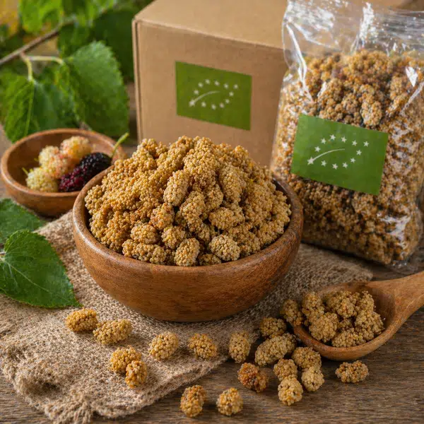 Organic dried mulberries from Turkey